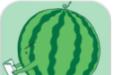 天天打西瓜logo图