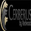 Cerberus FTP Server(Windows FTP服务器)软件logo图
