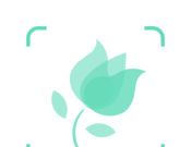 形色logo图