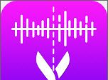 音频提取压缩logo图