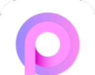 pp浏览器logo图