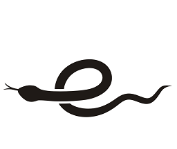 小蛇浏览器logo图