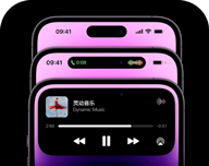 灵动岛logo图