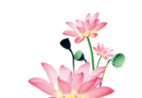 水墨工具箱logo图