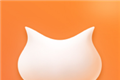 飞猫盘logo图