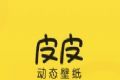 皮皮动态壁纸logo图