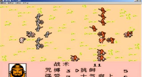 霸王的大陆