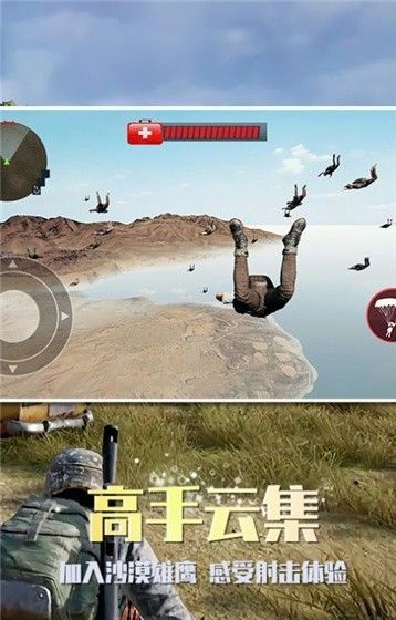 沙漠雄鹰