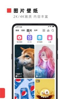 火萤视频壁纸