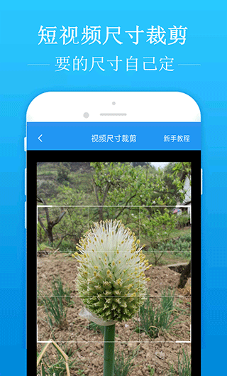 去水印吧