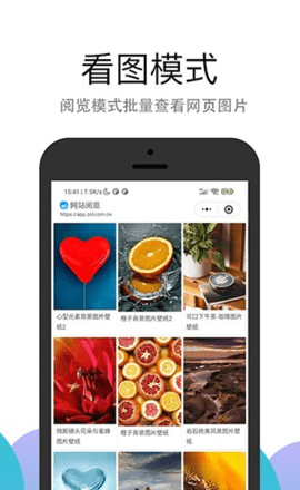 pp浏览器