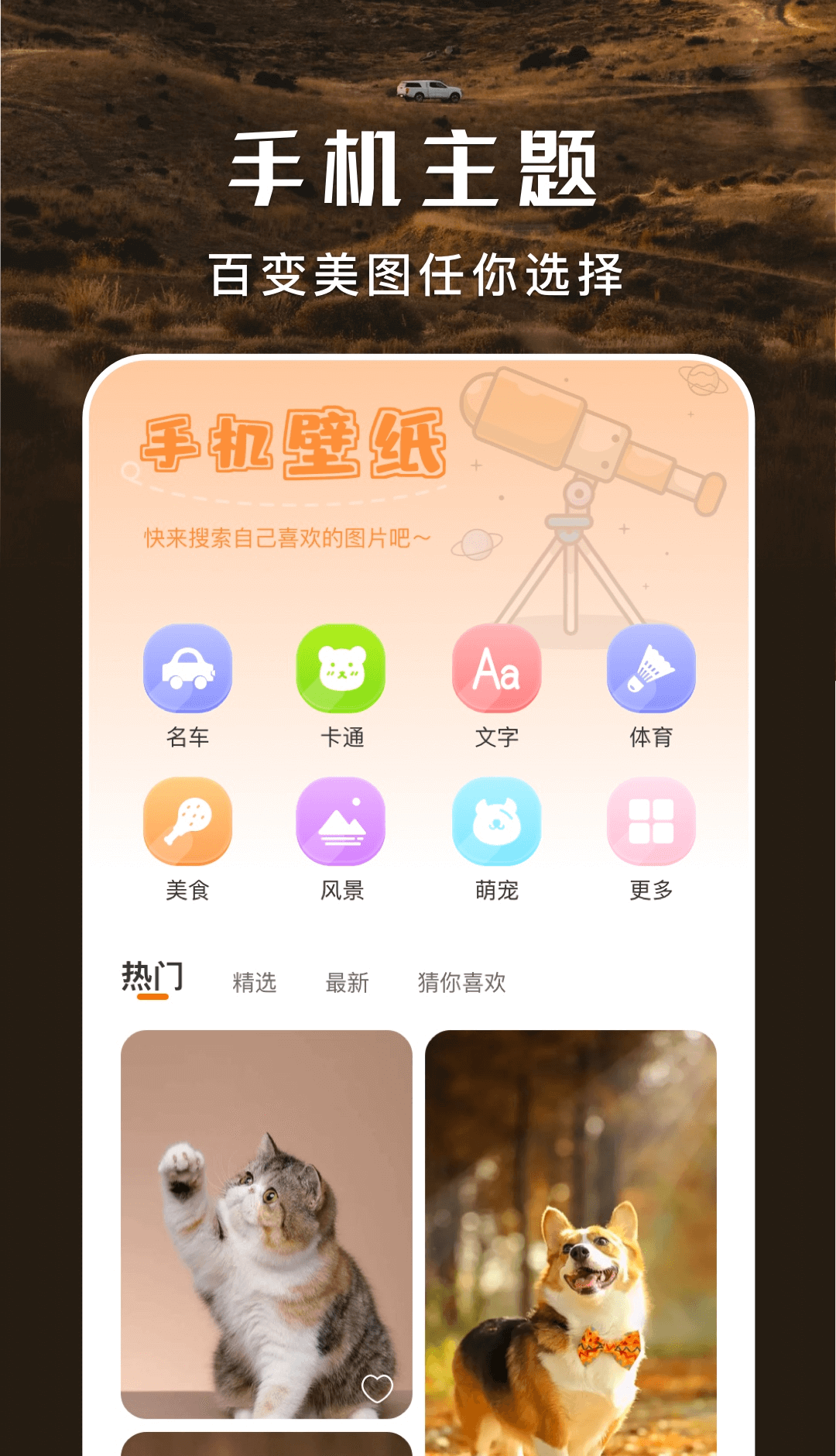 主题盒