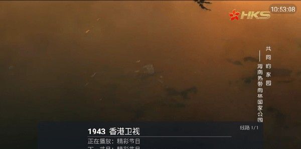 七七TV