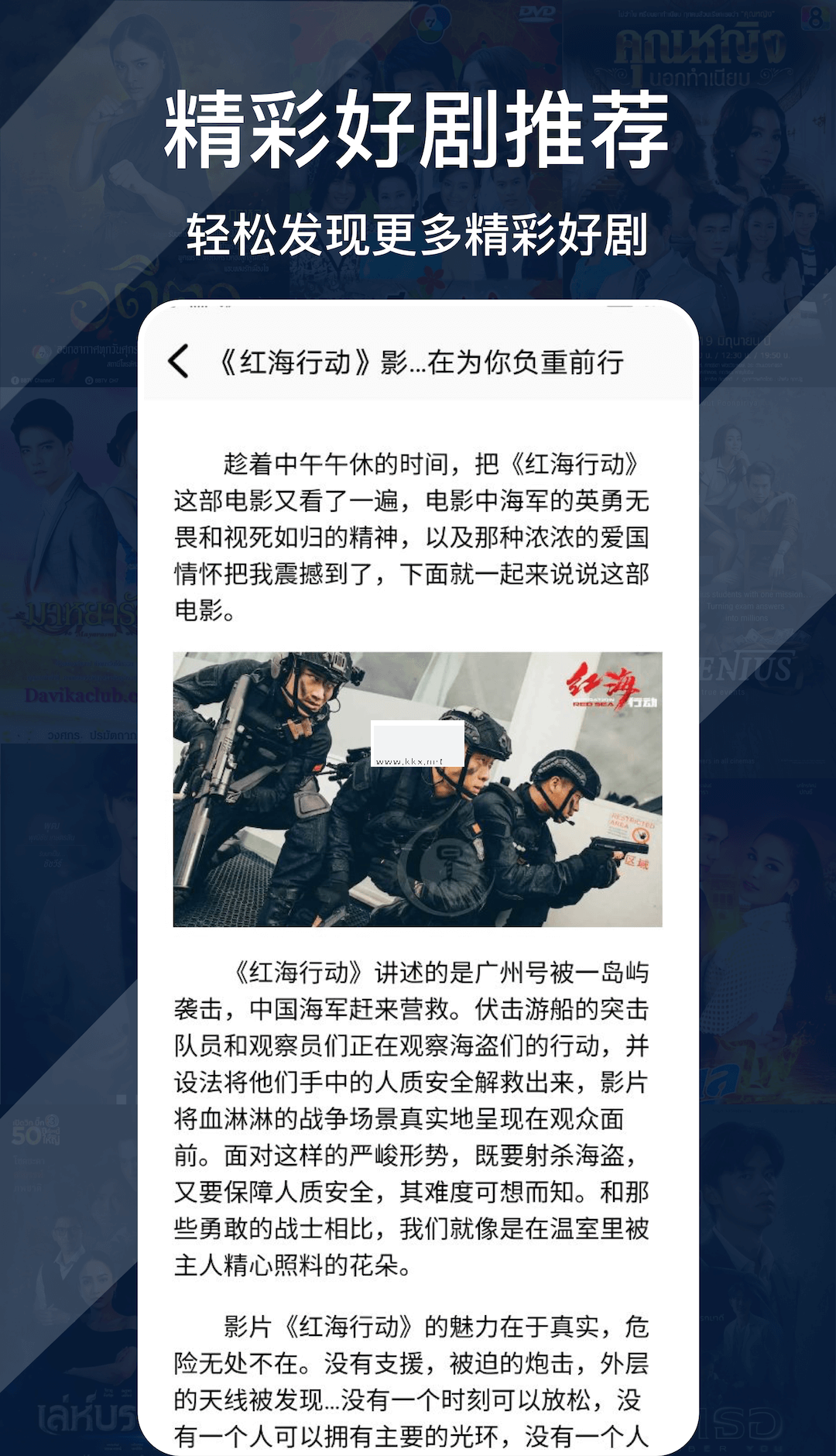 回音树洞
