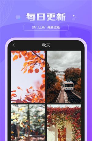 好看图库天天屏保壁纸