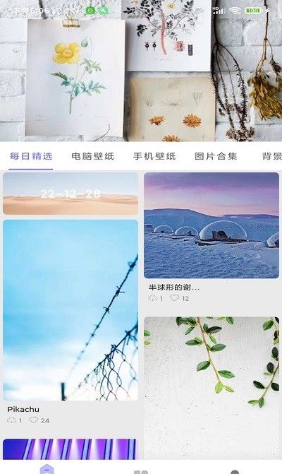 派派壁纸