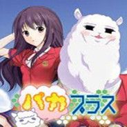 羊驼女友