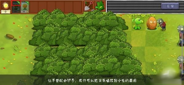 pvz转基因版(植物大战僵尸转基因版)
