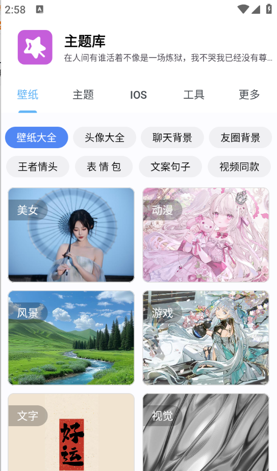 主题库