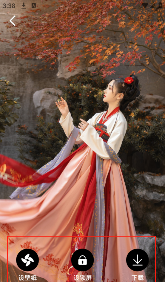 布丁壁纸大全